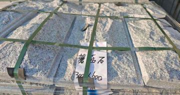 伊春芝麻白蘑菇石，自然面